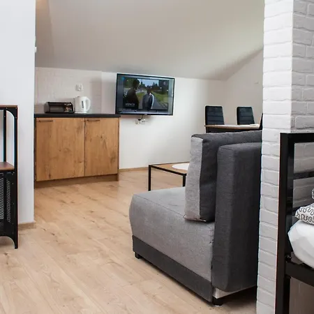 公寓 Apartament Wladyslawowo *